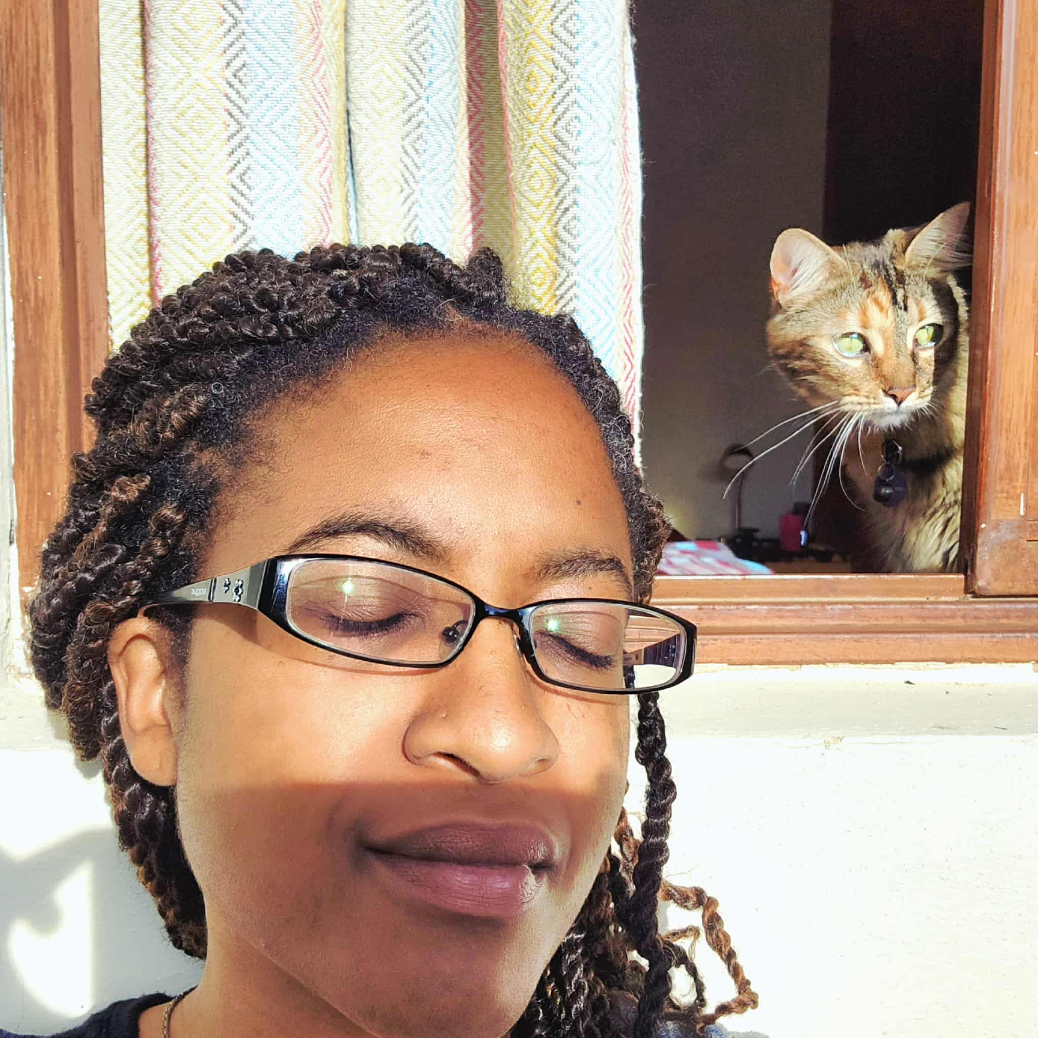 Juju the cat looking out the window in Mexico